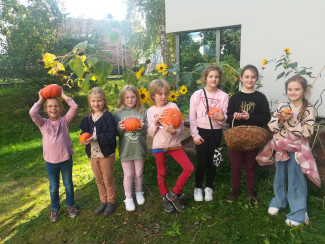So viele Kürbisse und Blumen!